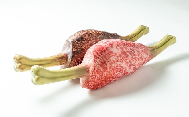 【MHRise】こんがり肉と生肉を実寸サイズで再現した「多目的まくら」が登場！　肉まくら良いなｗｗｗｗ【モンハンライズ】