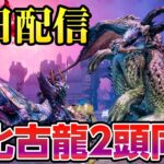 【サンブレイク】高難度！最新イベントクエストは災いの元凶である古龍2頭同時討伐「凶双襲来：紅の回帰」初見プレイ ソロ弓【モンハンライズ】