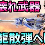 【モンハンサンブレイク】新ぶっ壊れ武器 冰龍散弾ヘビィボウガン装備 最強DPS【MHRise モンスターハンターライズ】