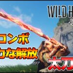 ワイルドハーツ カラクリ刀 マスター講座　基本コンボ 解放 実践で使える強技連携など 前編【WILD HEARTS】