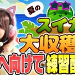 【スイカゲーム 生配信】大会に向けて練習していきます。【夏のスイカ大収穫祭】