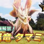 モンハンNow大型夏アプデ！ 泡狐竜 タマミツネ新装備がマジで強いぞ！！『モンスターハンターNow』