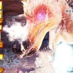 世界１デカい！超限定クルルヤックがヤべええｗｗｗ『MHW:モンスターハンターワールド：アイスボーン』