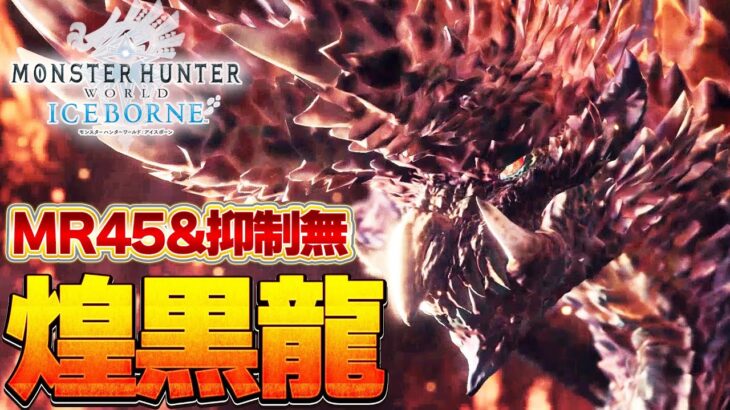 【最難関】MR45＆属性無し縛りで禁忌アルバトリオン ソロに挑む男『MHW:モンスターハンターワールド：アイスボーン』