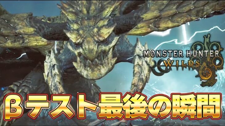 【βテスト最終日】 モンハンワイルズ体験版 ソロ攻略生放送！太刀などで遊び尽くす#8『モンスターハンターワイルズ』