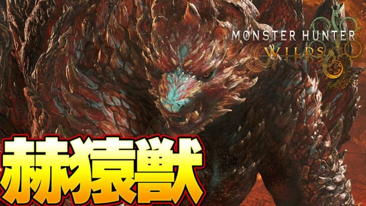 【モンハンワイルズ】もはやラージャンだろｗｗ赫猿獣アジャラカンソロ 太刀 初見 『モンスターハンターワイルズ』