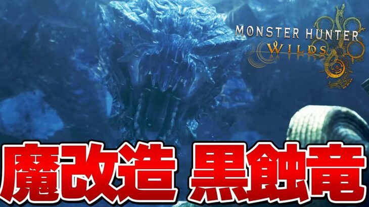 【モンハンワイルズ】魔改造されすぎた黒蝕竜ゴア・マガラ ソロ 太刀 初見 『モンスターハンターワイルズ』