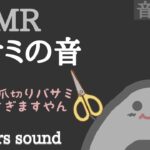 【ASMR】ハサミの音 〜 No talking 声なし〜【音フェチ】scissors sound