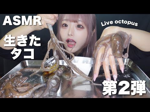 【ASMR】待望の！生きたタコを食べる 第2弾【タコの踊り食い】Eat a live octopus