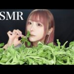 【ASMR】プチプチ食感の謎の葉っぱ🌱アイスプラントをいっぱい食べる❕【ice plant eating sounds】