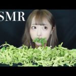 【ASMR】プチプチ弾ける謎食感の植物🪴アイスプラントの咀嚼音【Eating sounds】