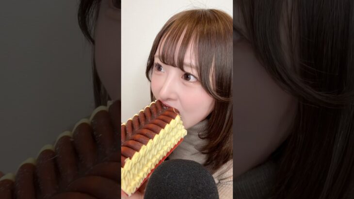 やってみたかったビエネッタかぶりつき！🍨🍫さよならビエネッタ🥲 #ビエネッタ #ASMR #mukbang #icecream