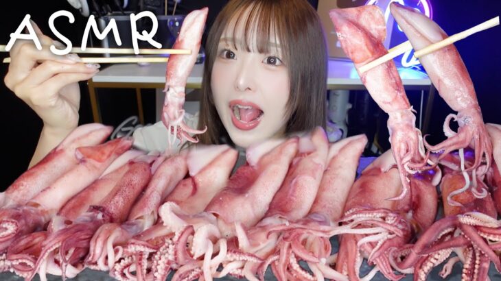 【ASMR】ぷりぷりボイルヤリイカ🦑色んな調味料で食べる🧂咀嚼音【mukbang】
