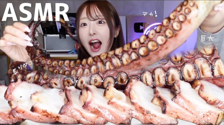 【ASMR】コストコの巨大炙りタコ🐙咀嚼音【mukbang】