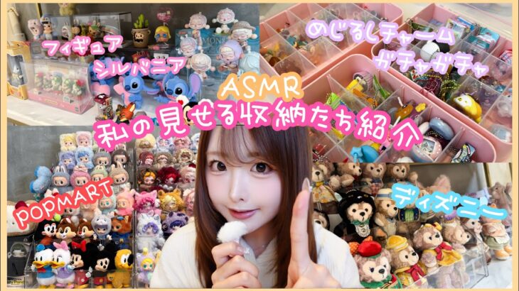 【ASMR】平成女児&ミーハー女の見せる収納大公開🪄めじるし/ガチャ/POPMART/シルバニア/ディズニーetc…