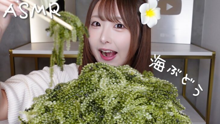 【ASMR】海ぶどうをたくさん食べる🌺沖縄のお土産！【mukbang】