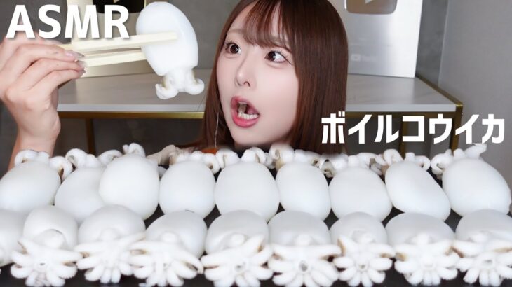 【ASMR】コリッコリ食感🤍ボイルコウイカ🦑【mukbang】