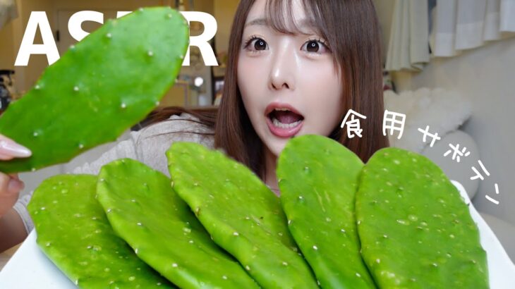 【ASMR】食用サボテン!?🌵食べてみたよ【mukbang】