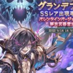 【グラブル】リッチにバレ復刻という豪華内容、終了迫る今回のガチャは引くべきか / ハロクリ限定からの年末年始という一大ガチャイベント待ちには耐えたい期間