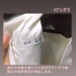 乃木坂46に新メンバー ｷﾀ━━━━━━━━━ !!!!?