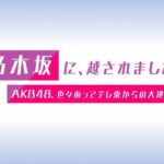 どうしてAKB48は落ちぶれたの？