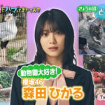 【櫻坂46】森田ひかる、上京してきて初めて上野動物園に行った結果【沼にハマってきいてみた 】