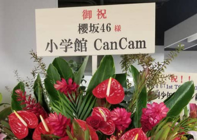 【櫻坂46】これは『CanCam』専属モデルの伏線か…！？