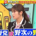 【ド正論】NMB48渋谷凪咲「野党って”野次”の野じゃないんですか？」「野次を飛ばすことに命かけてるというか、全うしてる？それが仕事みたいな 」ｗｗｗｗｗｗ