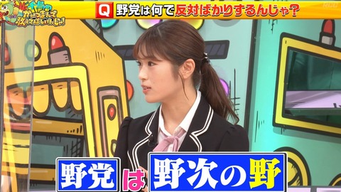 【ド正論】NMB48渋谷凪咲「野党って”野次”の野じゃないんですか？」「野次を飛ばすことに命かけてるというか、全うしてる？それが仕事みたいな 」ｗｗｗｗｗｗ