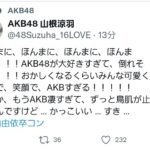 【定期】AKB48山根涼羽さんのツイートがやっぱり凄い件！！【横山由依卒業コンサート・ずんちゃん】