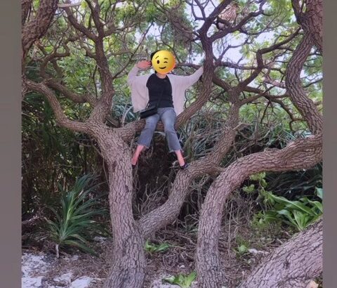 【乃木坂46】遺伝子継承されてるwww 与田祐希、お母さんが木登りをしている写真を突如公開wwwwww