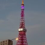 【乃木坂46×東京タワー】とても綺麗にライトアップされる！！！
