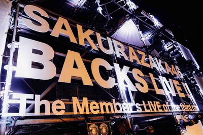 【速報】櫻坂46『3rdシングル BACKS LIVE!!』開催決定！！