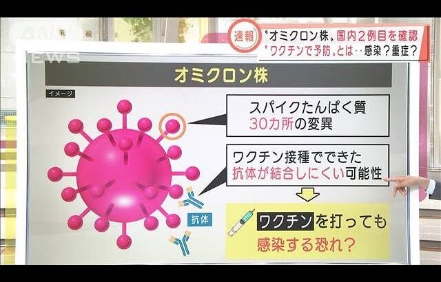 【悲報】AKB48、新型コロナウイルス変異株の影響により年内開催予定のイベントが延期に【オミクロン株】