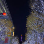 なんという美しさ・・・けやき坂イルミネーション越しに撮影した乃木坂46仕様 東京タワーがこちら・・・