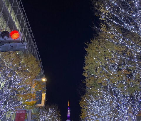 なんという美しさ・・・けやき坂イルミネーション越しに撮影した乃木坂46仕様 東京タワーがこちら・・・