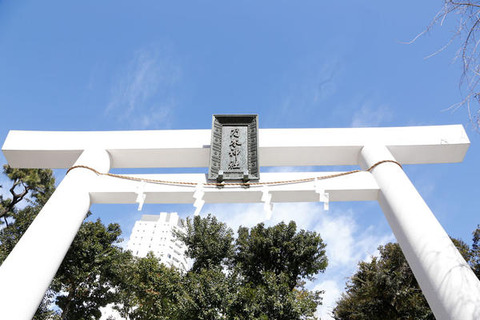 【目撃情報】乃木坂46メンバーが乃木神社で成人式をしている模様！！！