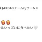 【AKB48】俺たちの陽菜ちゃん「マックのポテト、クアラルンプールいっぱいに食べたい」【チーム8橋本陽菜・はるぴょん】