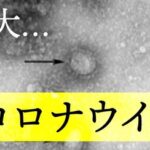 【悲報】NMB48、山本望叶ら10人が新型コロナ感染！クラスターへ・・・【新型コロナウイルス】