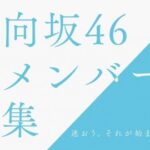 【日向坂46】新メンバー合格発表8月予定←これ