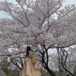 【SKE48】上村亜柚香「散歩しがてら桜見れました」