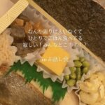 【定期】本日のAKB48のお弁当が「海苔弁」