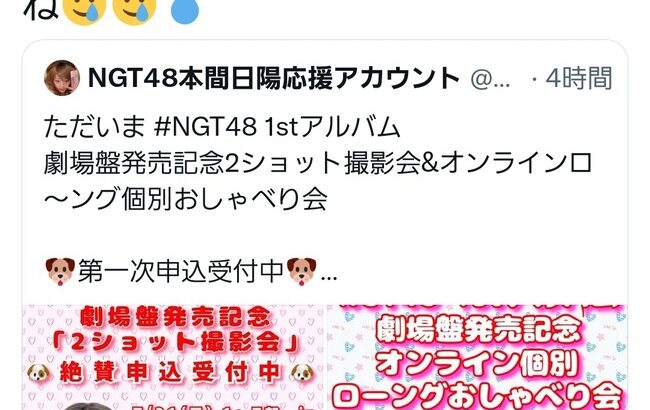 【悲報】NGT48本間日陽、無許可で画像転用するヲタクにブチギレ・・・【ひなたん】