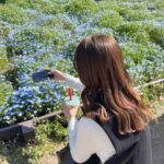 【元SKE】北川綾巴「最近外歩いてるとあじさいをよく見かけます お花ってやっぱりいいね♪」