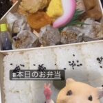 【SKE48】林美澪「本日のお弁当」