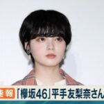 平手友梨奈ってなぜあんなに人気あったの？【てち/欅坂46/櫻坂46】