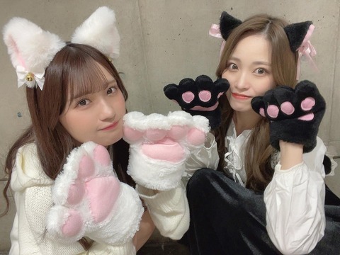 【SKE48】入内嶋涼と中野愛理の“猫コス”がヤバい！！！