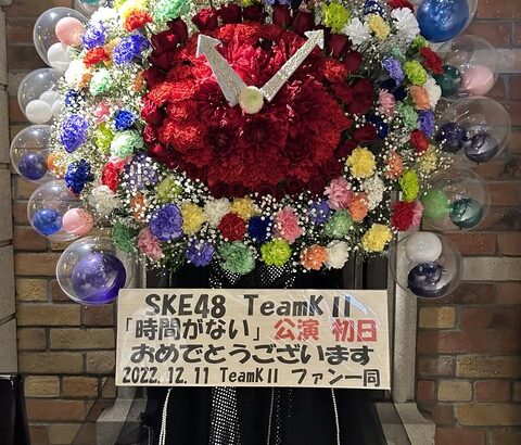みつ吉さん『マジ （SKE48）チームKⅡ強ぇぇぇぇぇ‼』