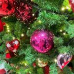 【SKE48】菅原茉椰「今年のクリスマスは珍しく予定をしっかり立ててお出かけしました」