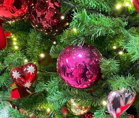 【SKE48】菅原茉椰「今年のクリスマスは珍しく予定をしっかり立ててお出かけしました」